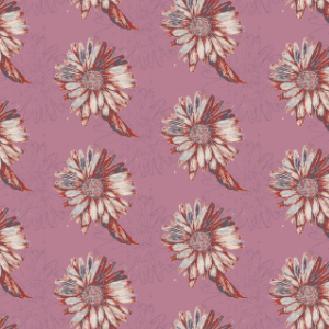 Imperfect Daisy